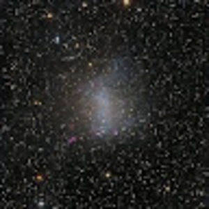 Meet your Posher, Logan